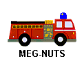 MEG-NUTS